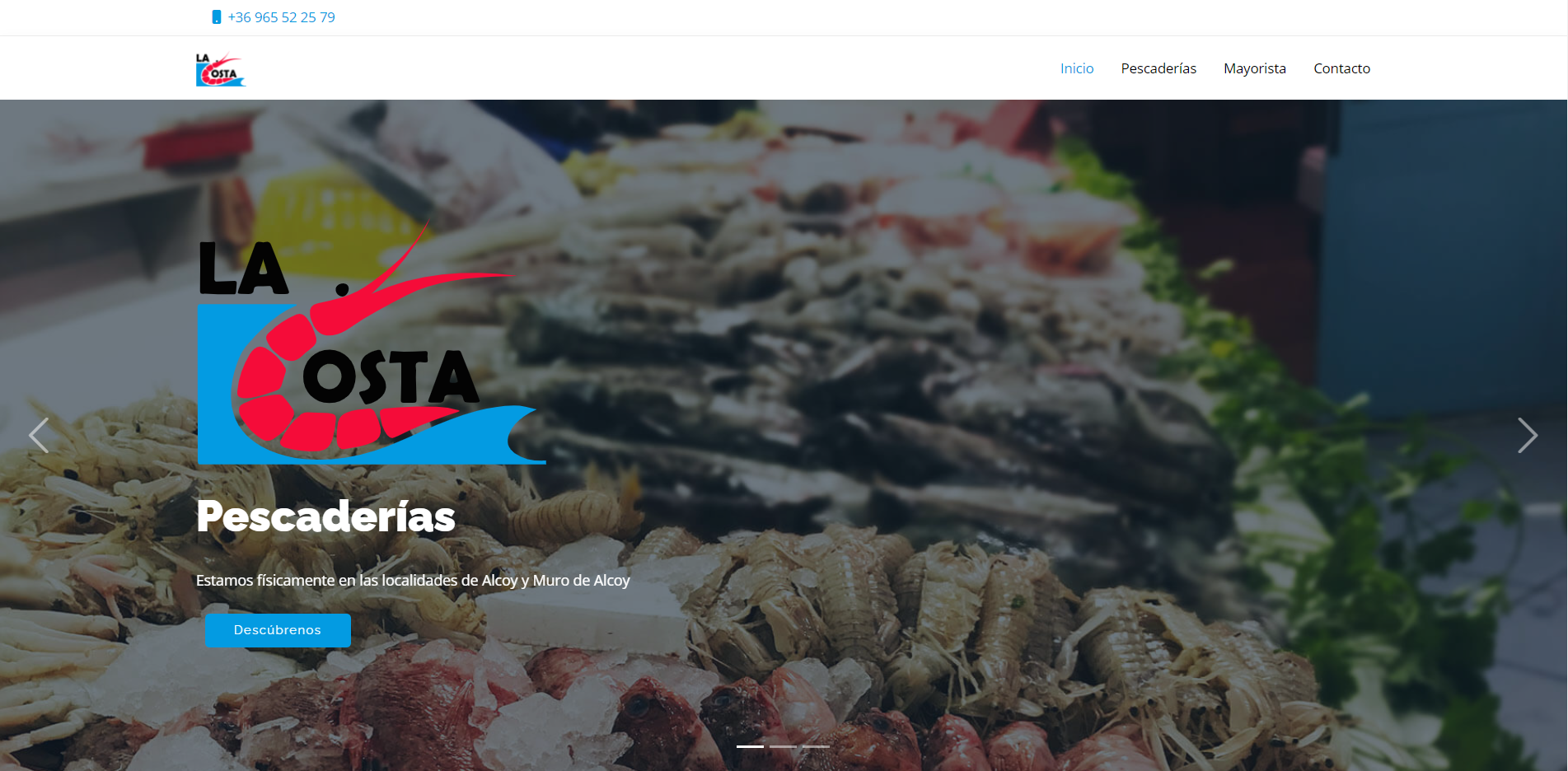 Proyecto para la mejora del posicionamiento web del sitio pescadoslacosta.es